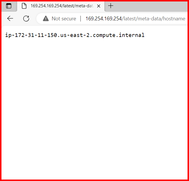 Picture showing the hostname from instance metadata